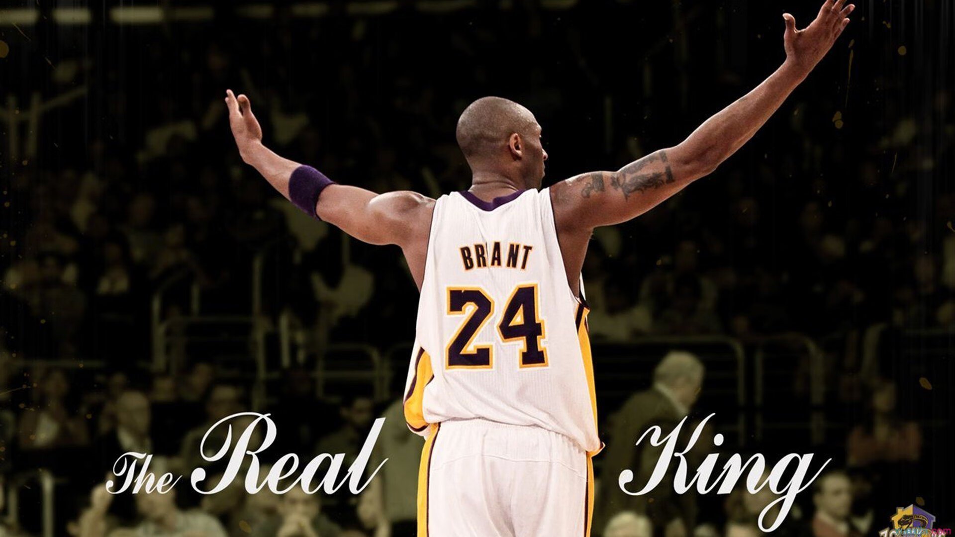 世界杯梦之秒:英雄鲜血染红赛场!,世界梦之队